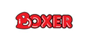 boxer